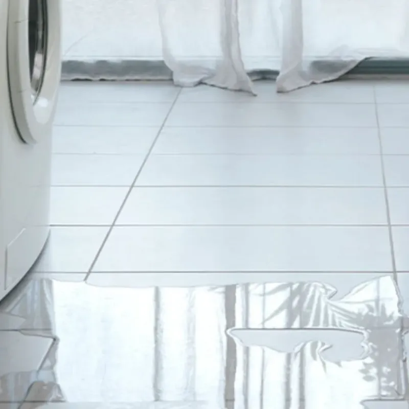 Appliance Leak Cleanup in Barrett, TX