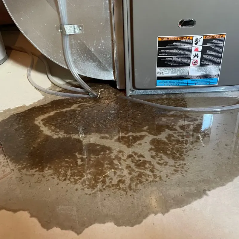 Pipe Burst and Leak Restoration in Barrett, TX