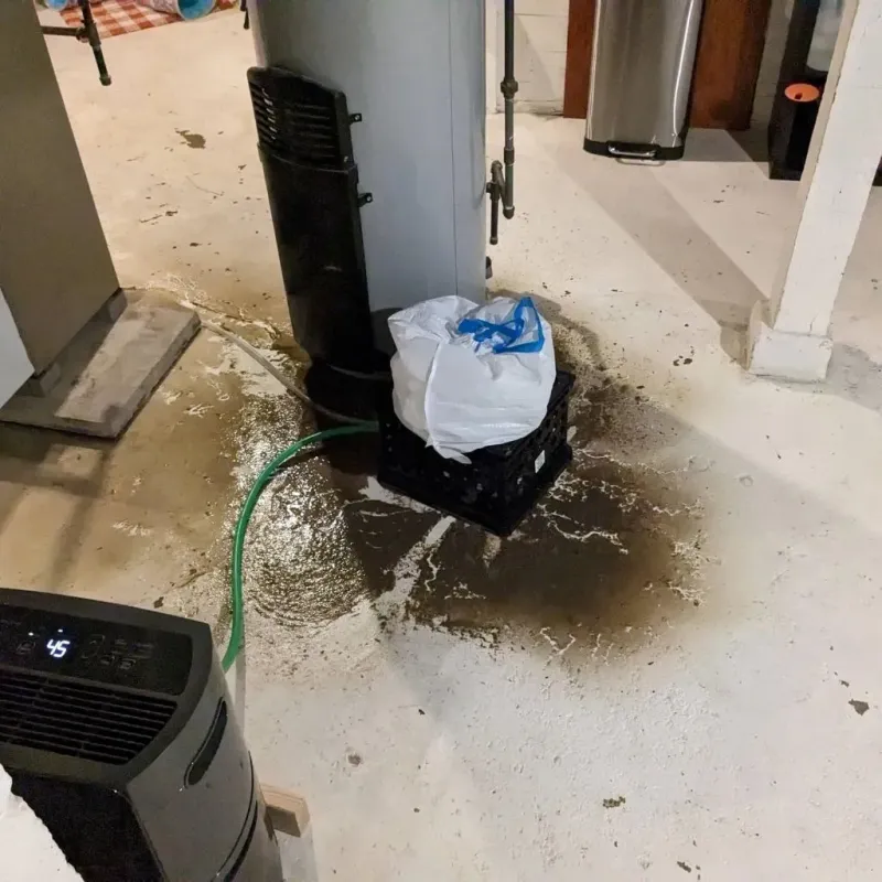 Sewage Backup Cleanup Service in Barrett, TX